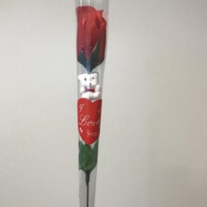 Red Rose 1 stuk - Rode Roos